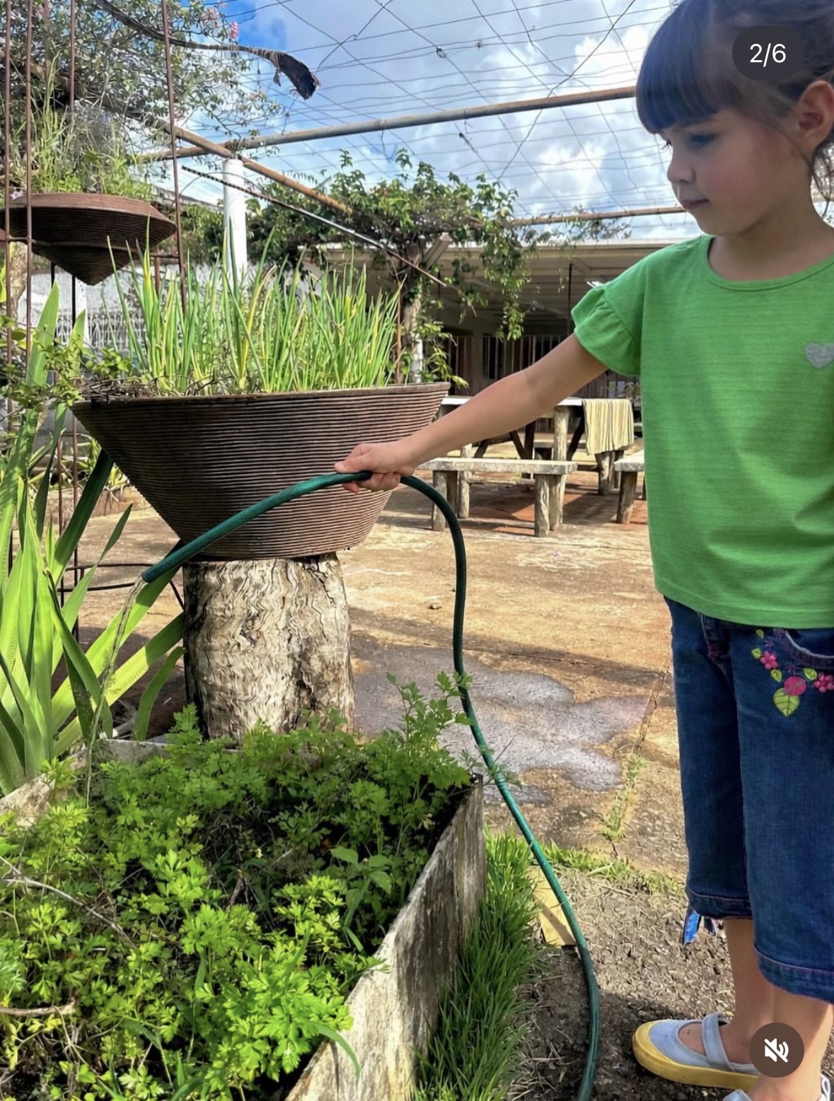 Criança regando plantas na Vivenda Montessori
